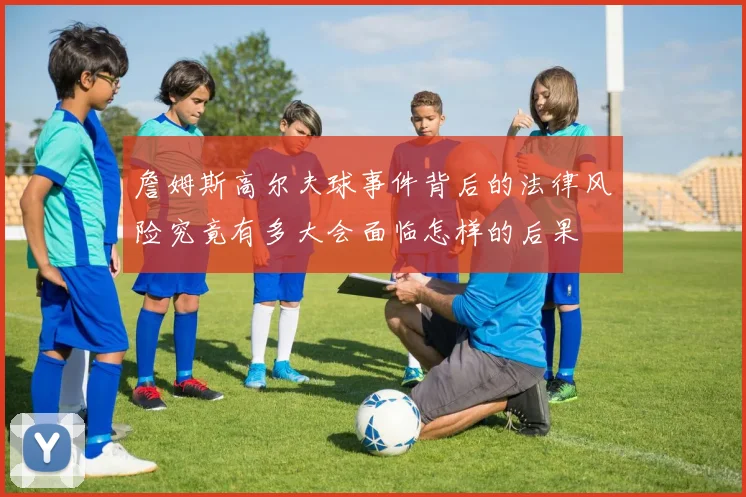 詹姆斯高尔夫球事件背后的法律风险究竟有多大会面临怎样的后果