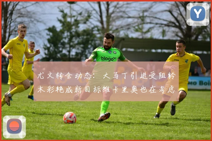尤文转会动态：大马丁引进受阻铃木彩艳成新目标维卡里奥也在考虑中