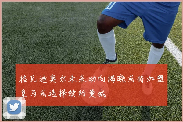 格瓦迪奥尔未来动向揭晓或将加盟皇马或选择续约曼城