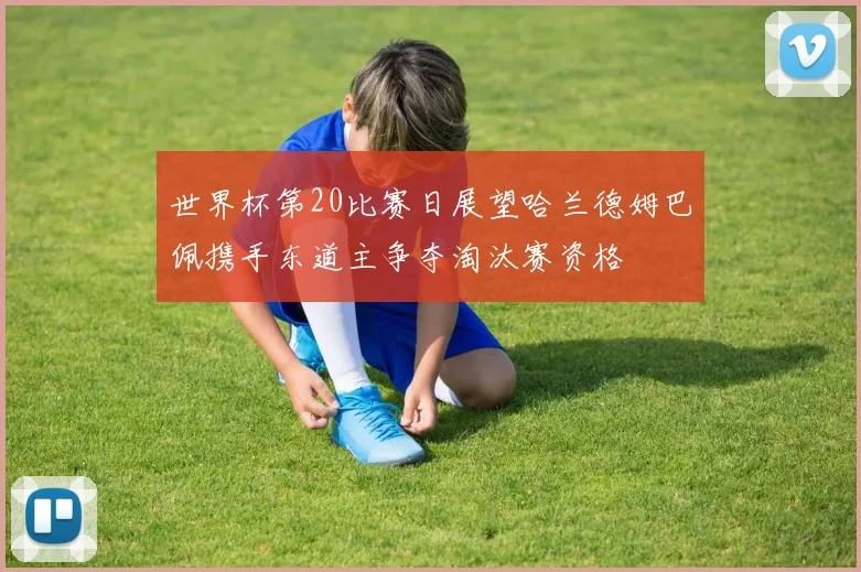 世界杯第20比赛日展望哈兰德姆巴佩携手东道主争夺淘汰赛资格