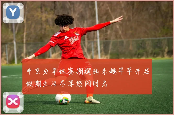 申京分享休赛期遛狗乐趣早早开启假期生活尽享悠闲时光