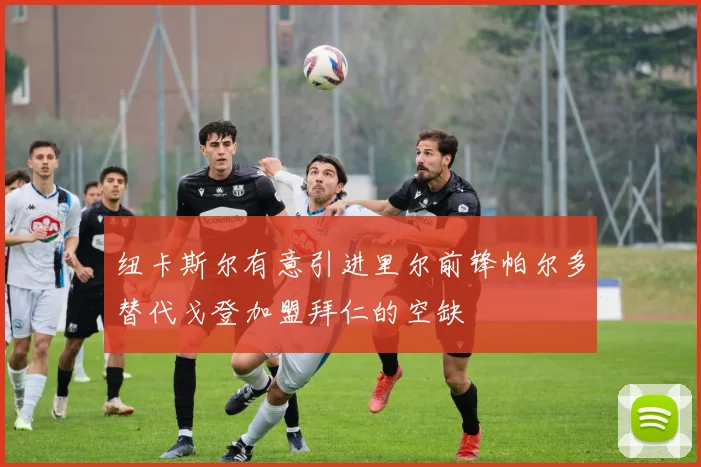 纽卡斯尔有意引进里尔前锋帕尔多替代戈登加盟拜仁的空缺